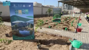 زراعة 200 ألف شجرة في مدارس المدينة المنورة تعزز جودة البيئة التعليمية وتخفف التلوث